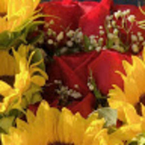 Meet your Posher, Cheyenne